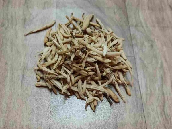 White Musli