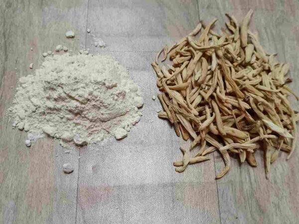 White Musli Powder
