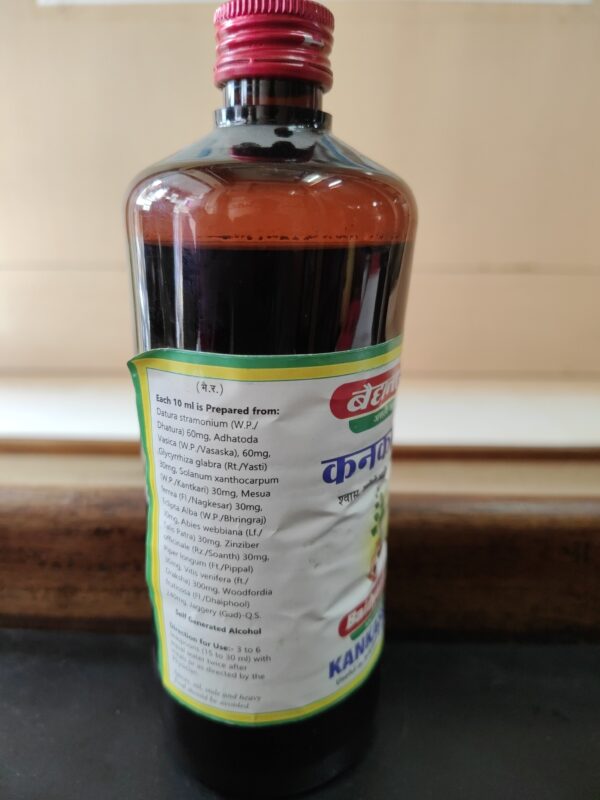 Baidyanath Kankasava - Image 2